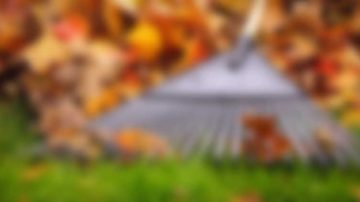 Fall & Winter Cleanup